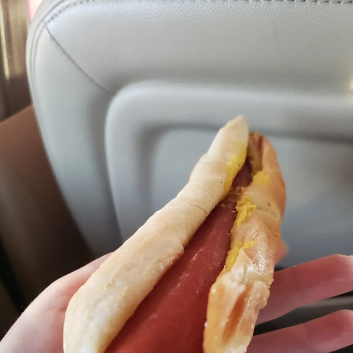 Hot Dog