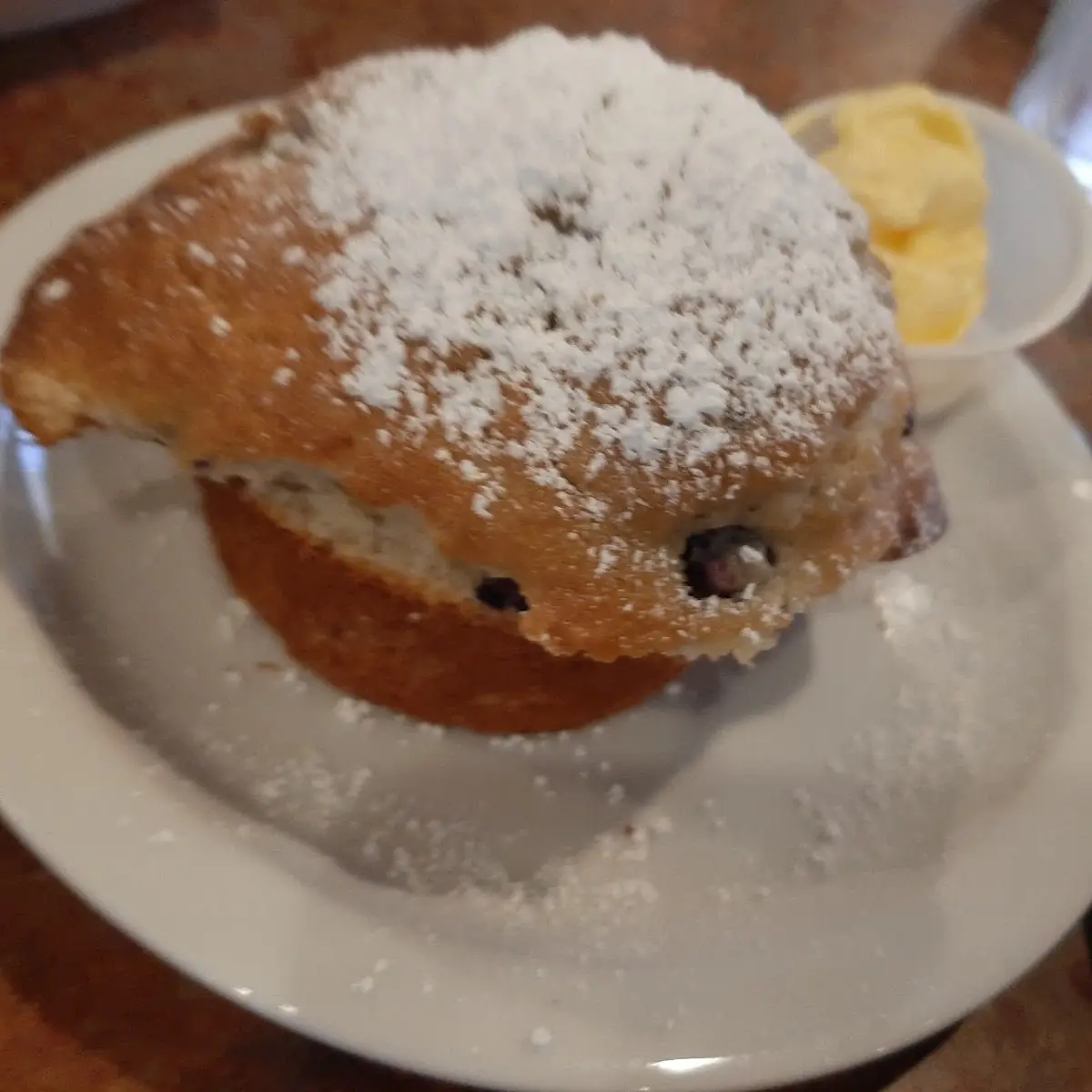 Blueberry Muffin