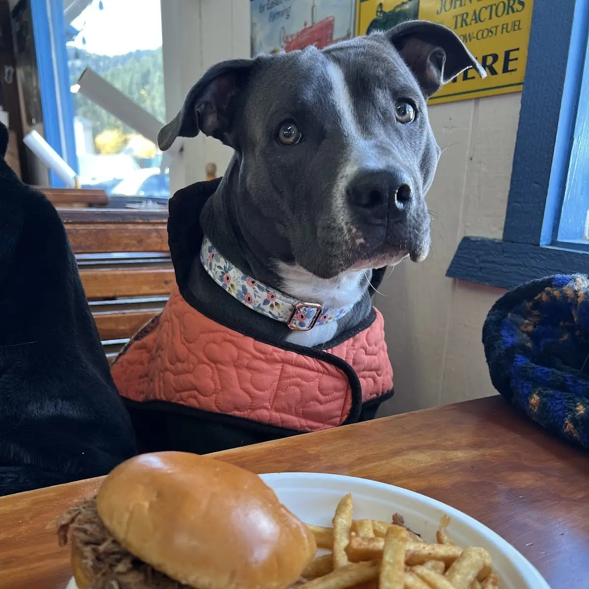 Pork BBQ Sandwich