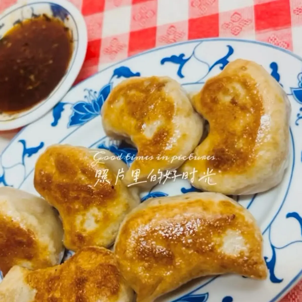Pan Fried Dumplings 6