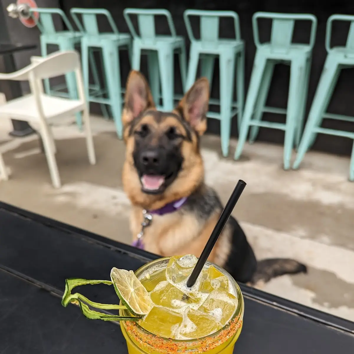 Spicy Mango Margarita