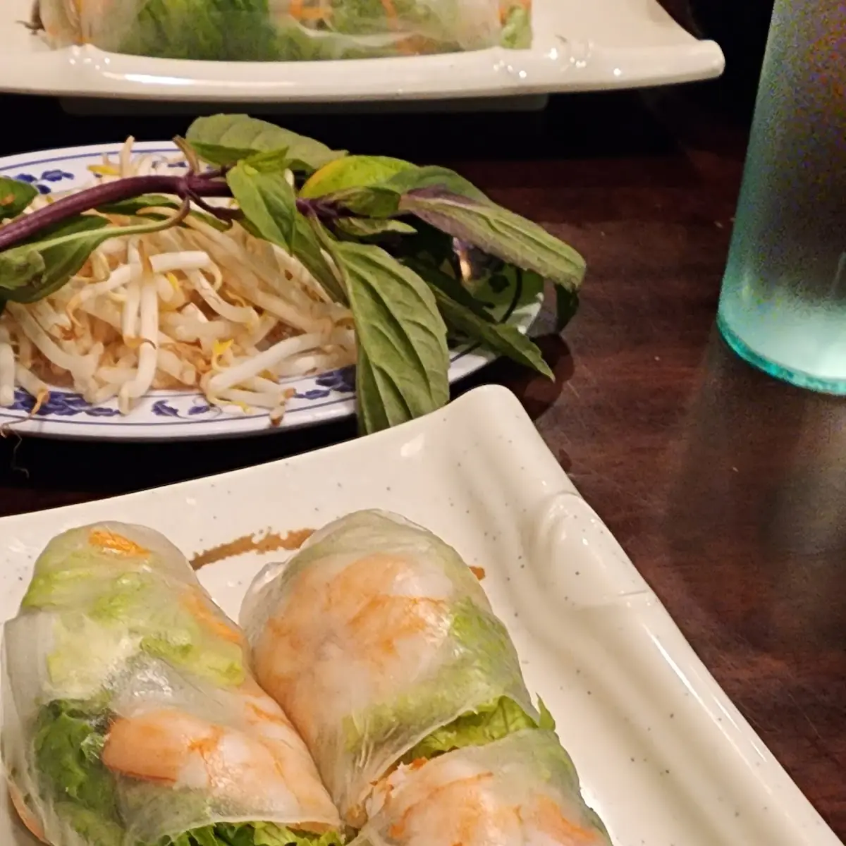 Fried Egg Rolls and Spring Rolls