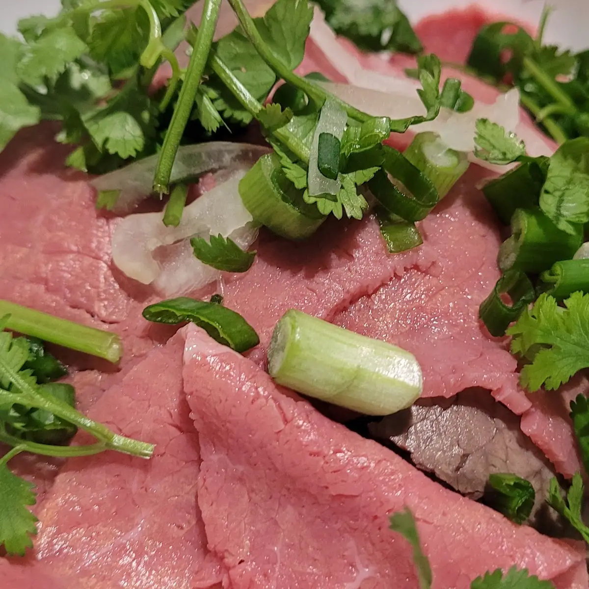 Raw Beef & Beef Pho
