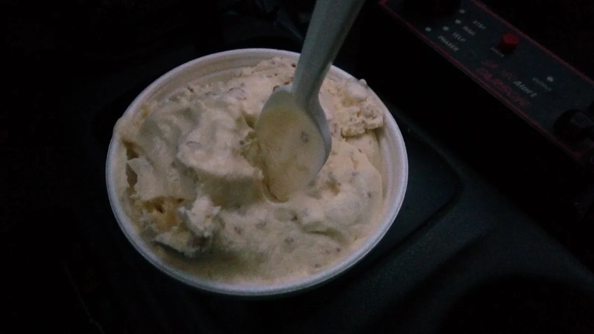 Sugar Free Ice Cream Sundae