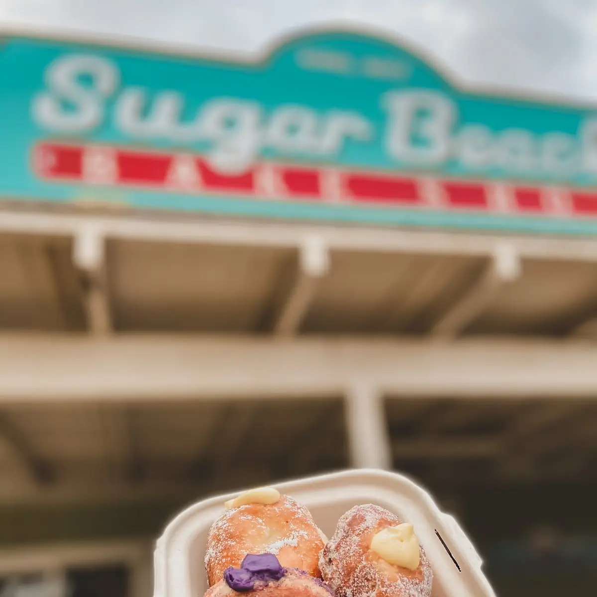 Cinnamon Sugar Malasada