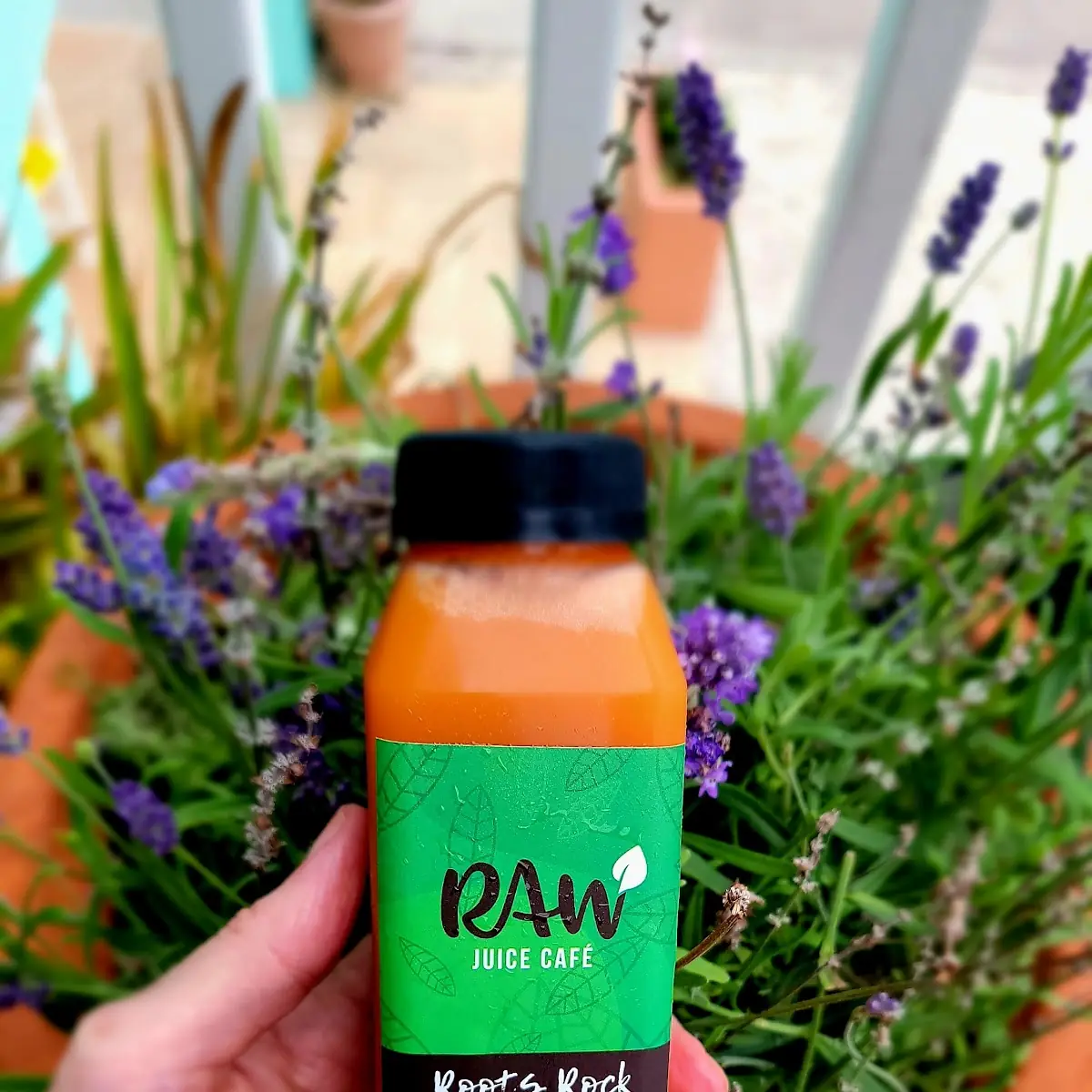 Rootrock Juice