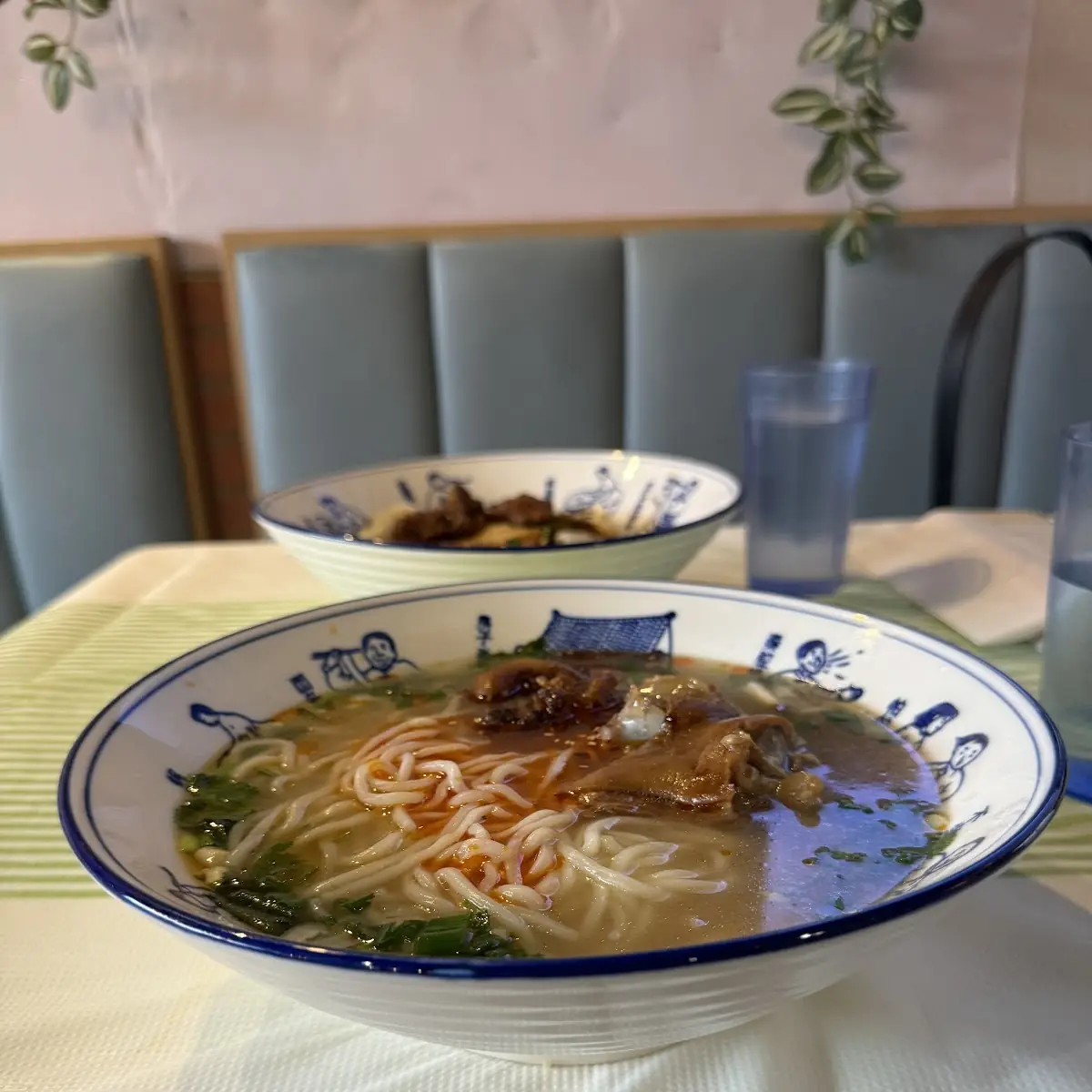Hot & Sour Dumpling Noodle Soup