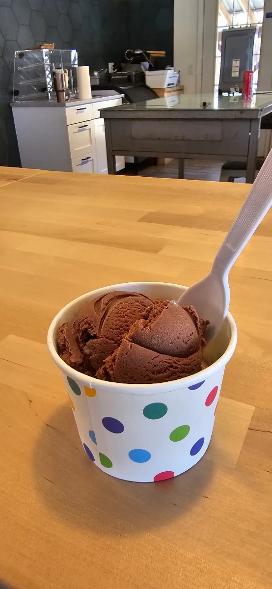 Chocolate Ice Cream