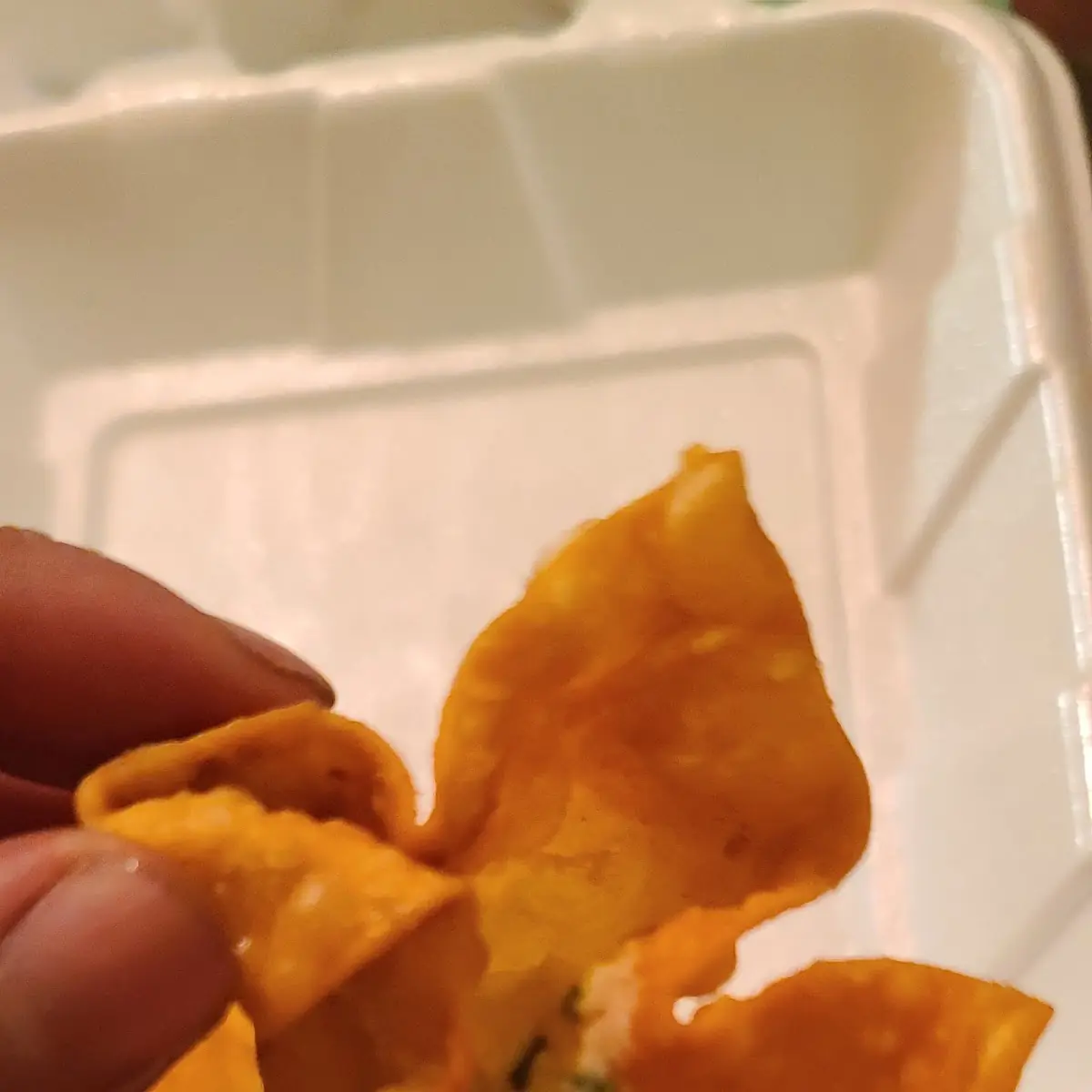 Cream Cheese Wonton