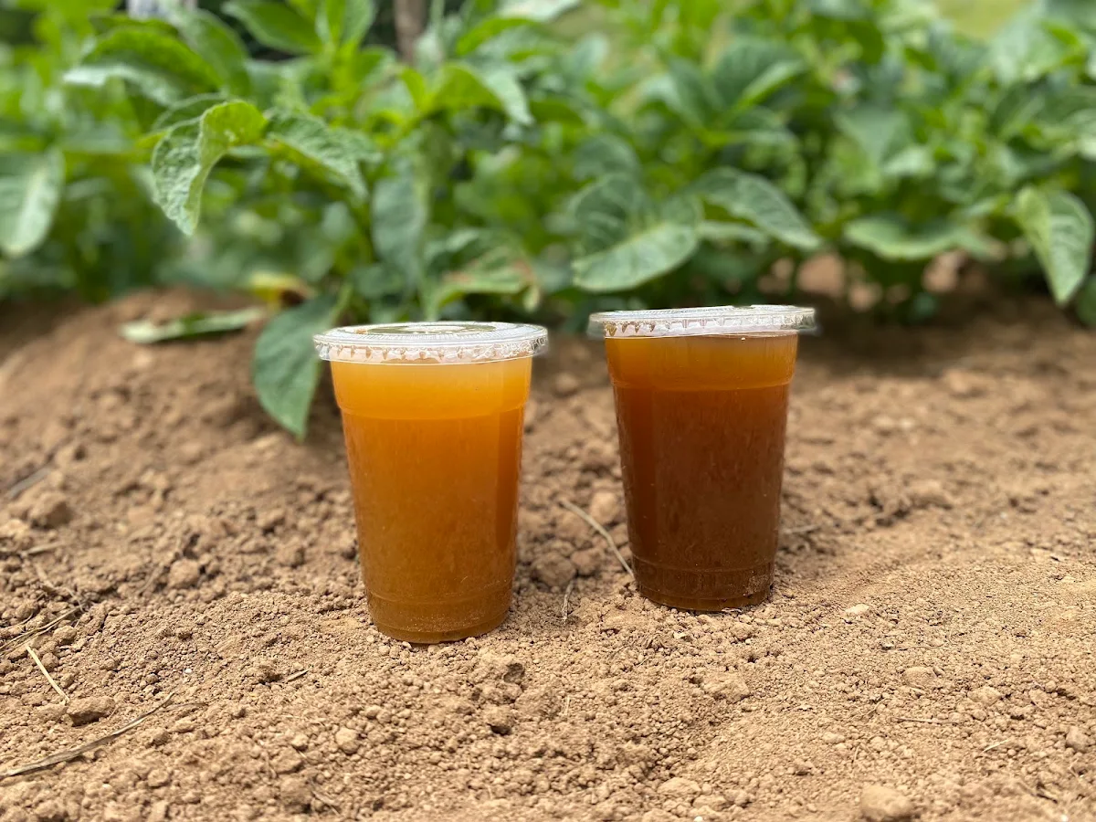 Juice