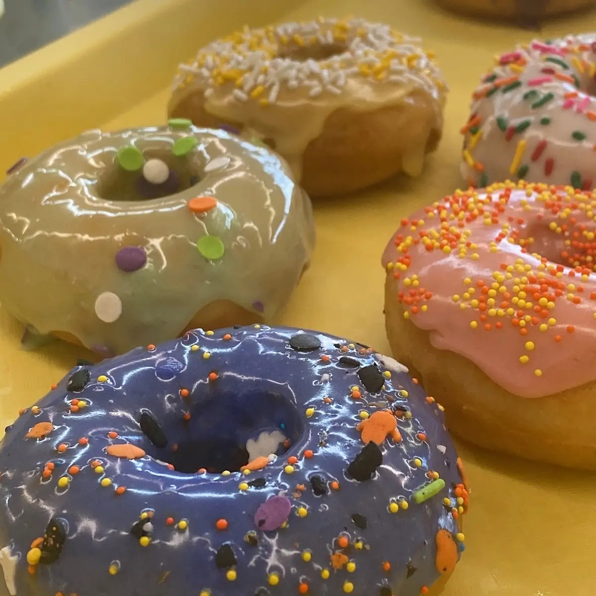 Doughnut