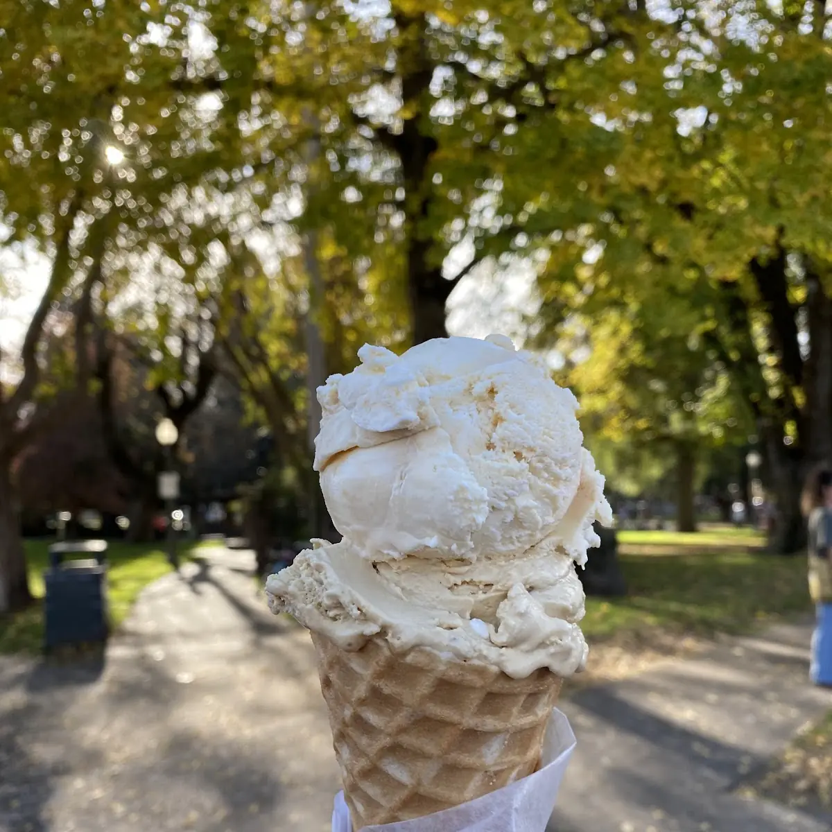 Salted Caramel and Pecan Praline Waffle Cone