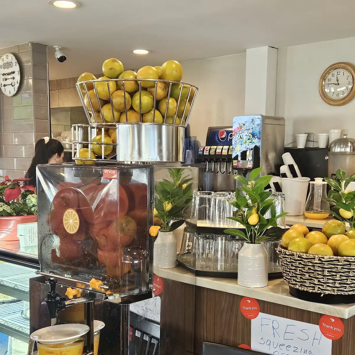 Freshly Squeezed Orange Juice