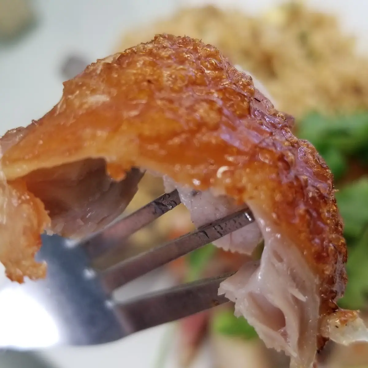 Roast Pork Skin