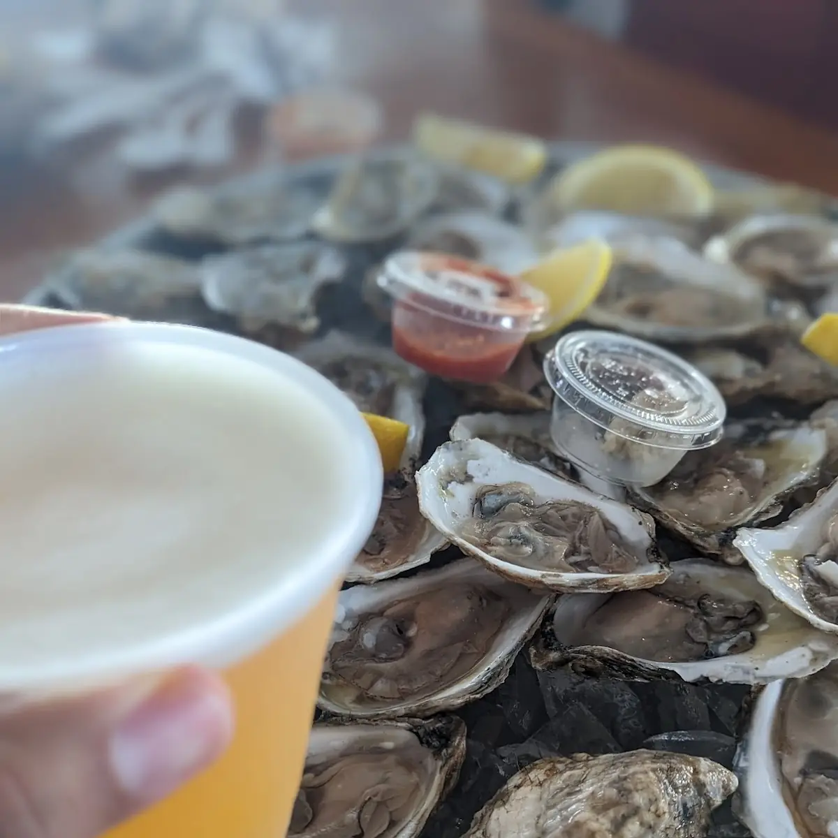 Raw Oysters