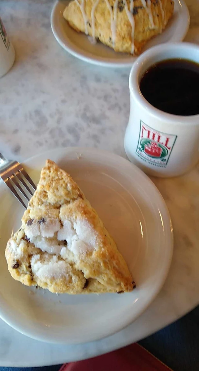 Chocolate Chip Scone