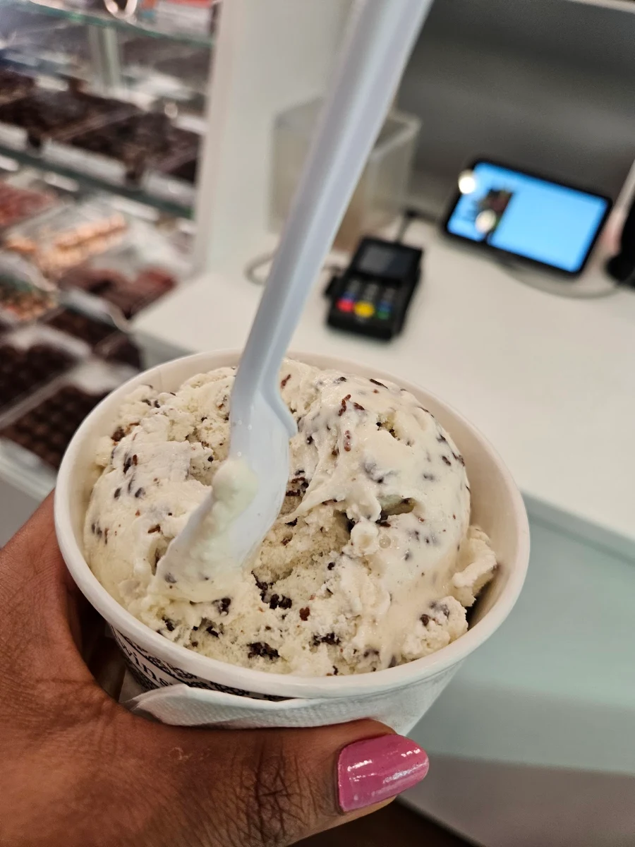 Toasted Coconut Ice Cream