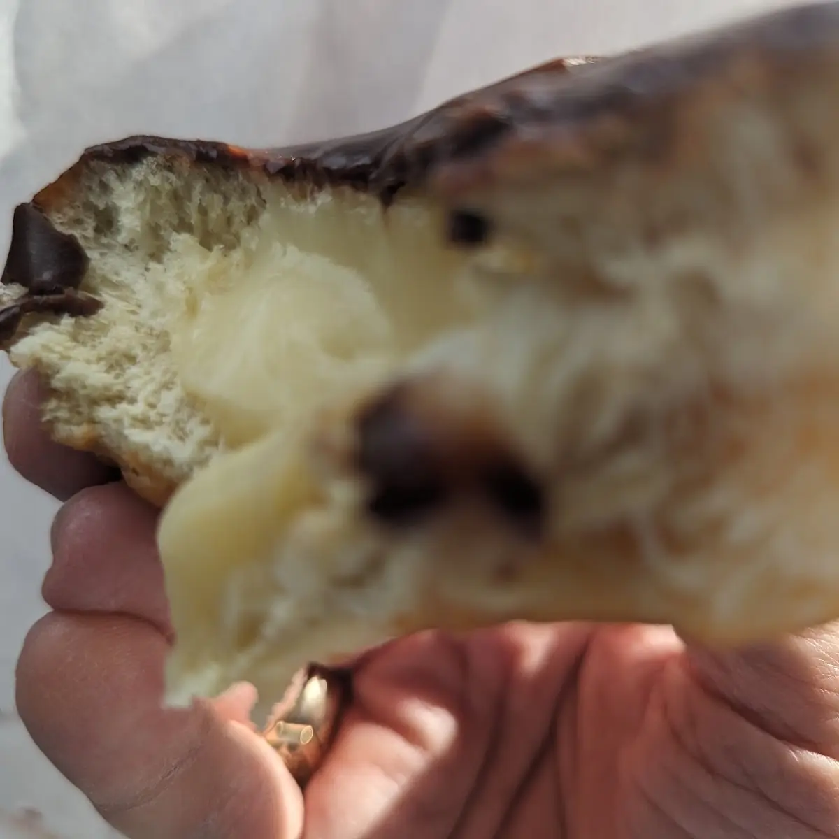 Boston Cream Donut
