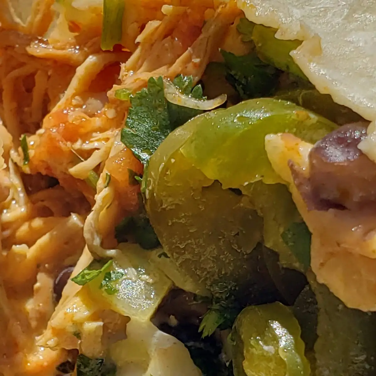 Tinga Chicken Burrito