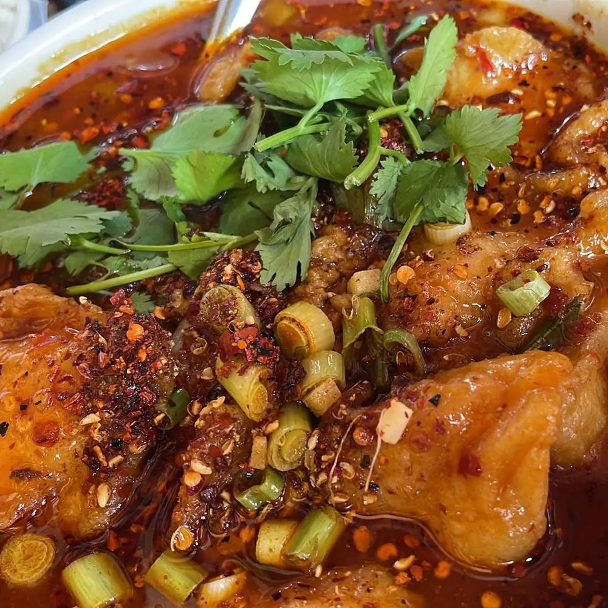 Beef Tendon and Triple in Chili Sauce
