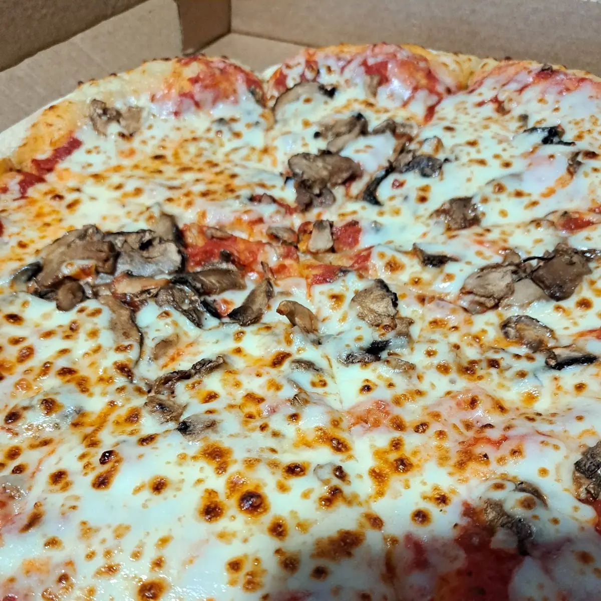 Mushroom Pizza