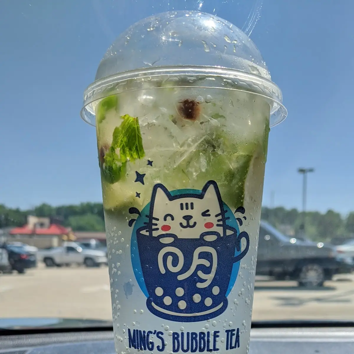 Mint Mojito