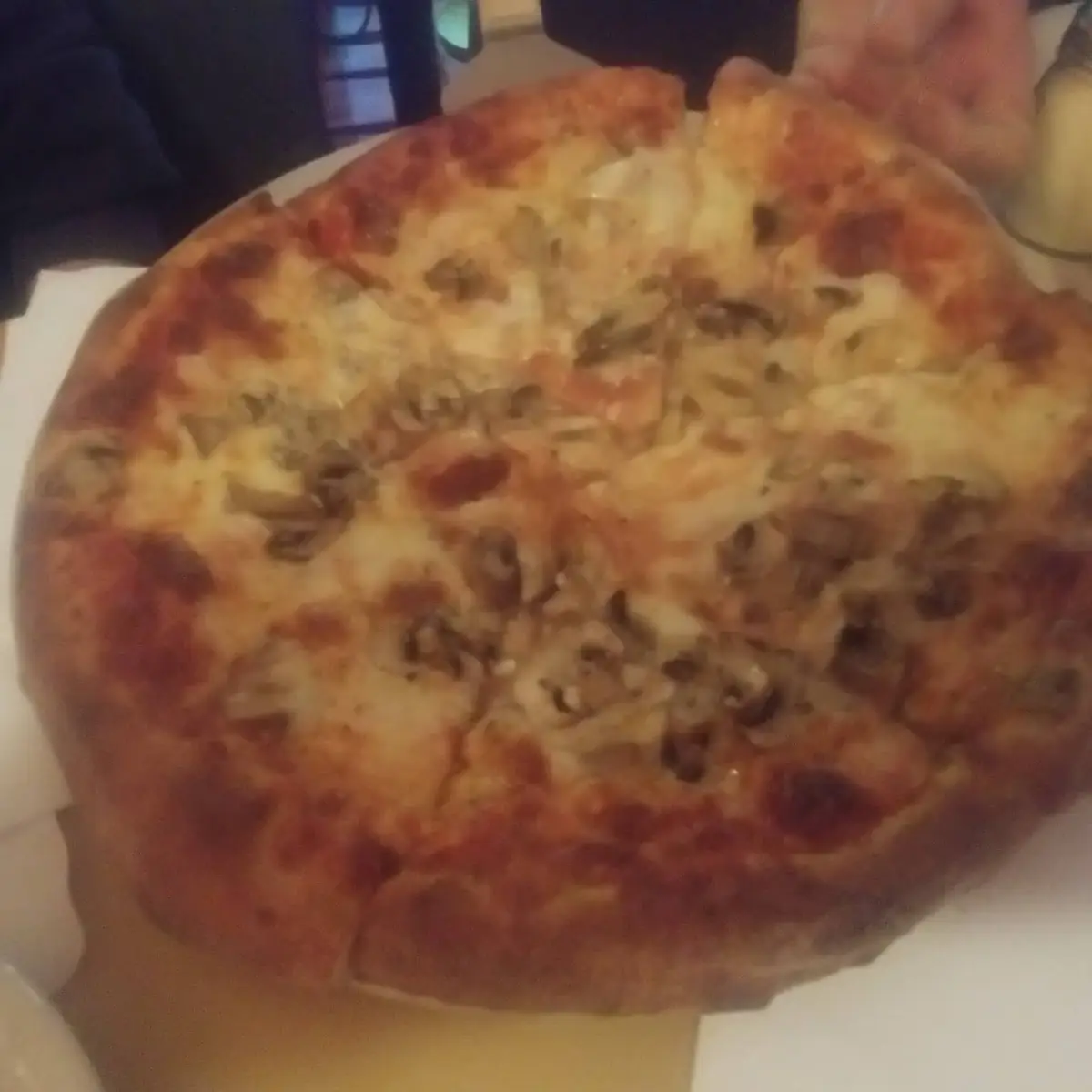 Mushroom and Cheese Pizza