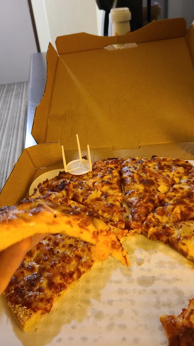 Ham and Pineapple Pizza
