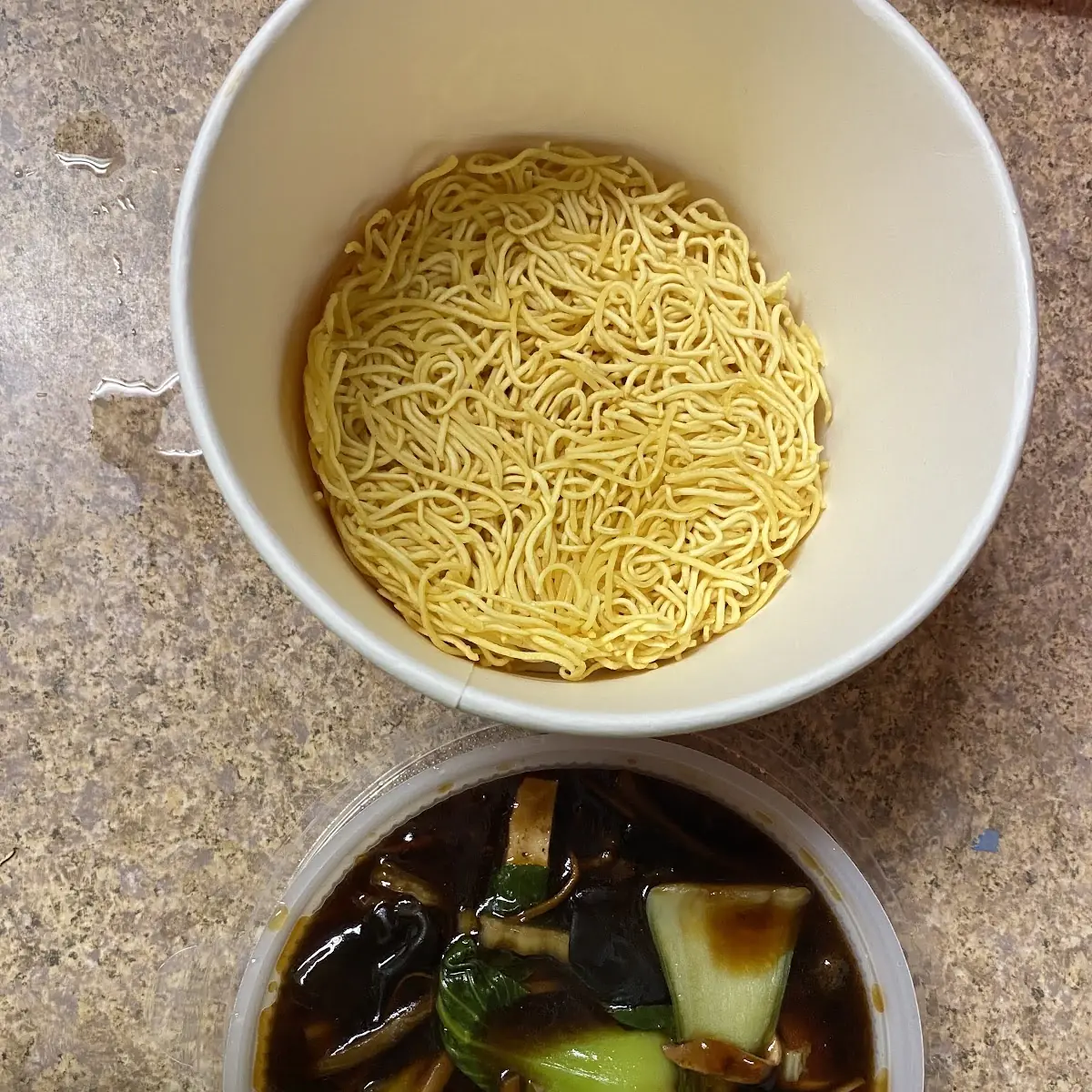 Pan Fried Noodles