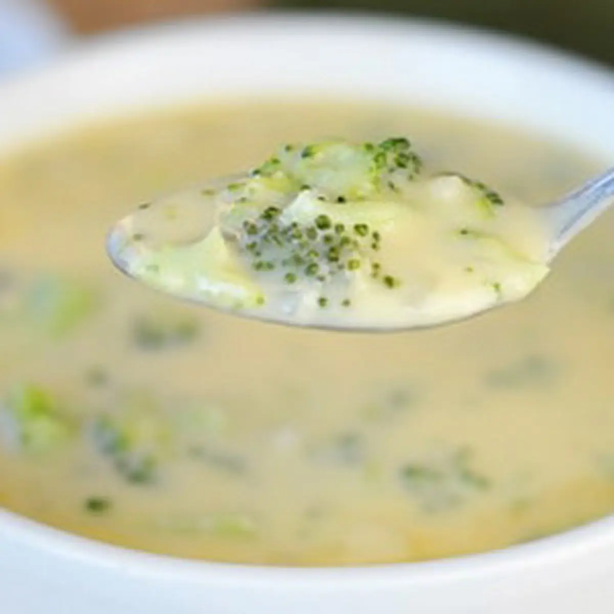 Soup Selections