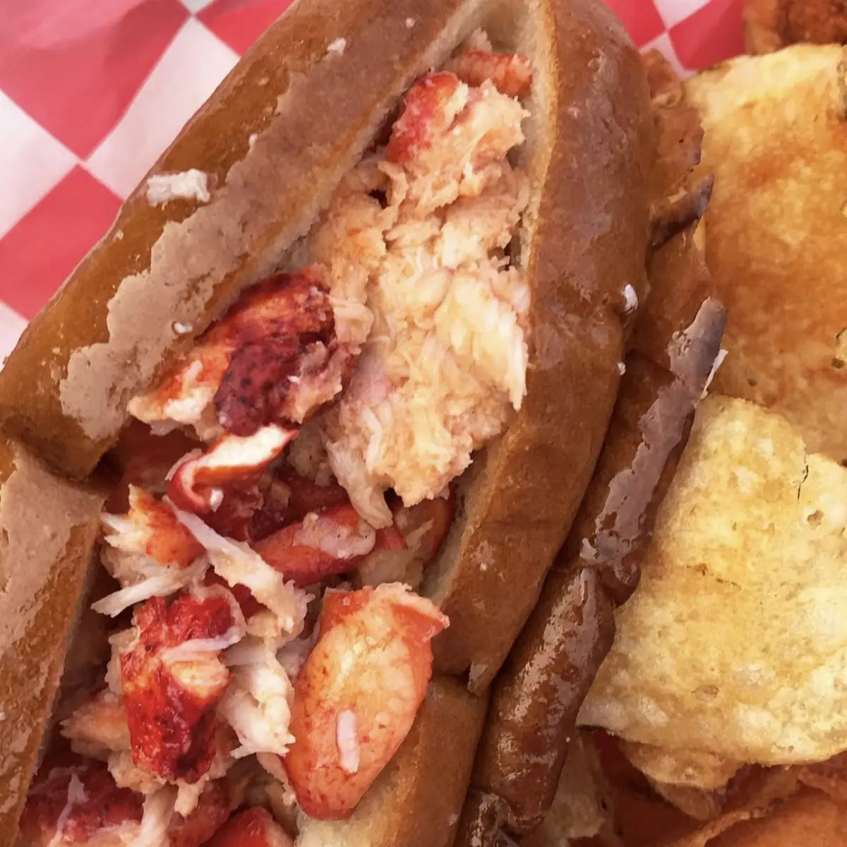 Lobster Roll