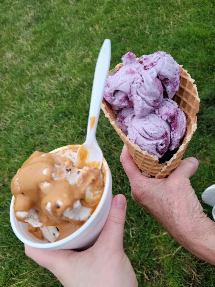 Regular 2 Scoop Vegan Cookie Dough w PB & Regular Maine Wild Blueberry in a Waffle Cone
