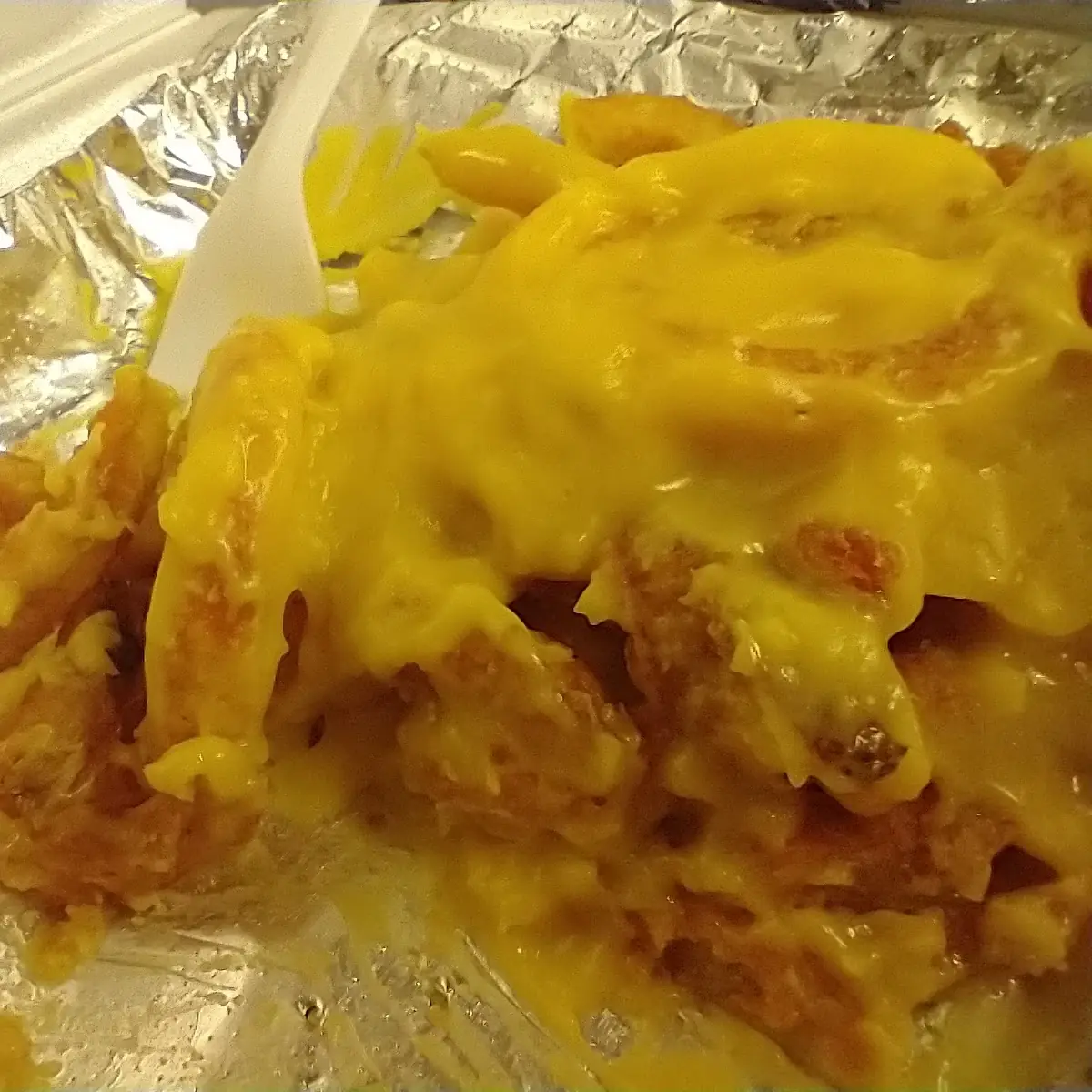 Cheese Fries