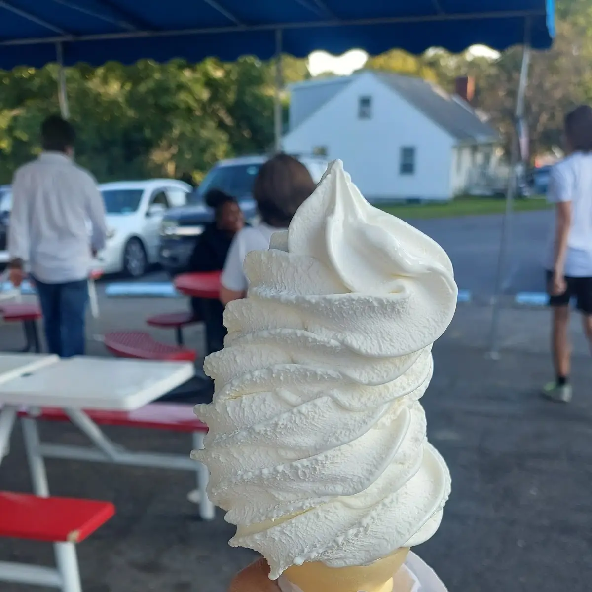 Vanilla Cone