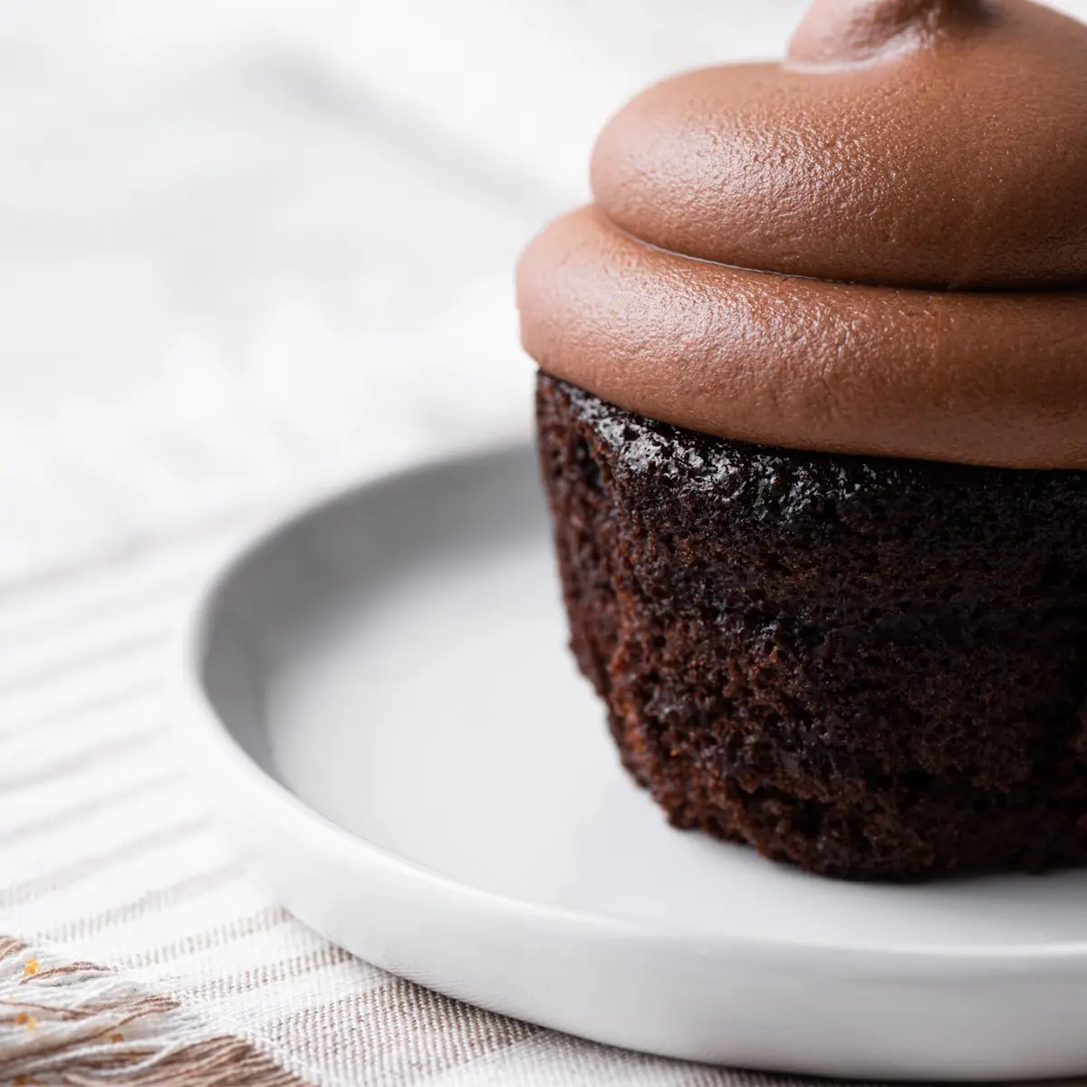 Chocolate Cupcake