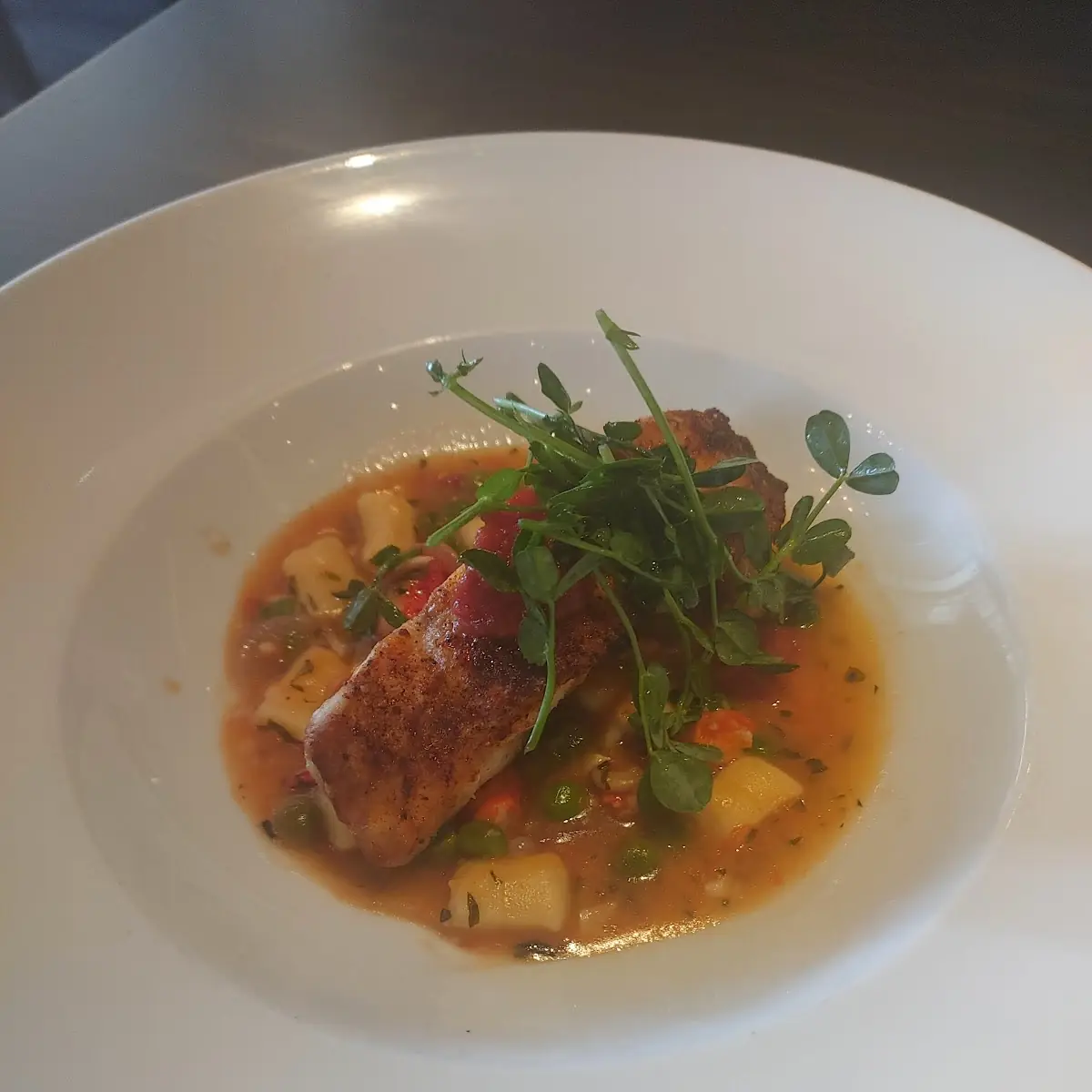 Florida Grouper