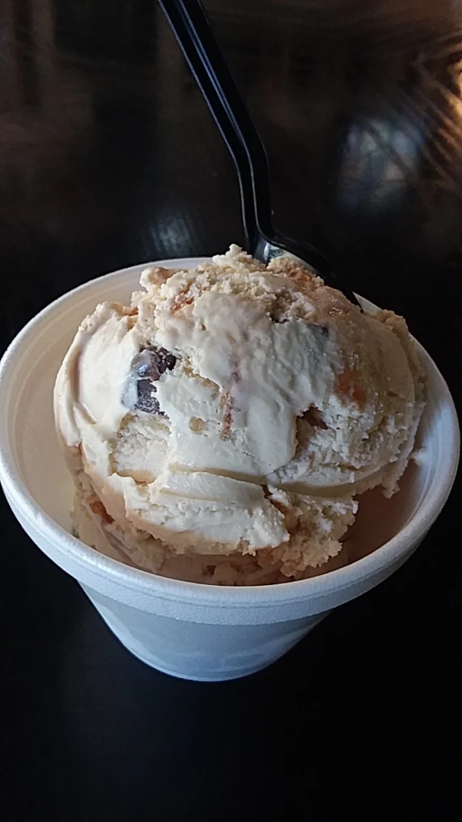 Salted Caramel Ice Cream