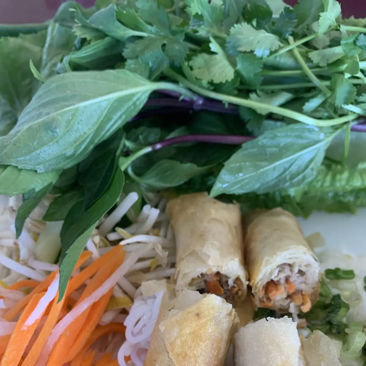 Pork Egg Roll Combo Platter