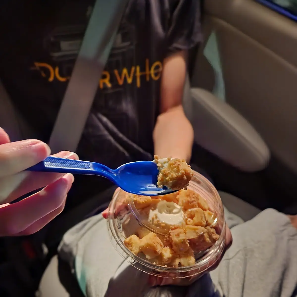 Frozen Custard with Cheese Cake Topping
