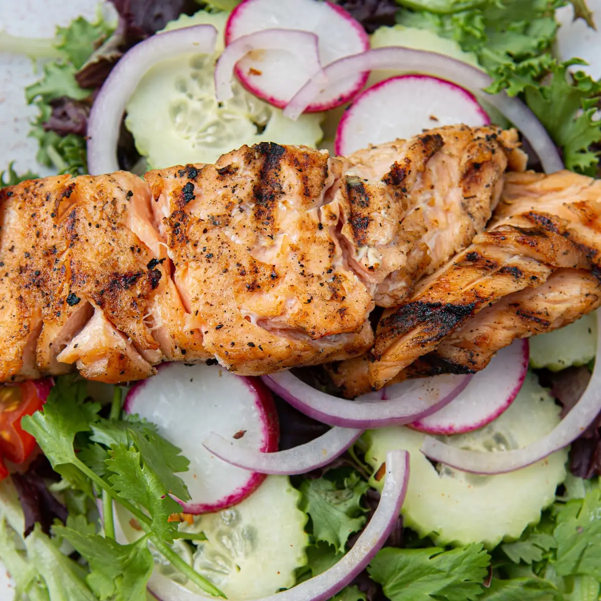 Grilled Chicken Salad