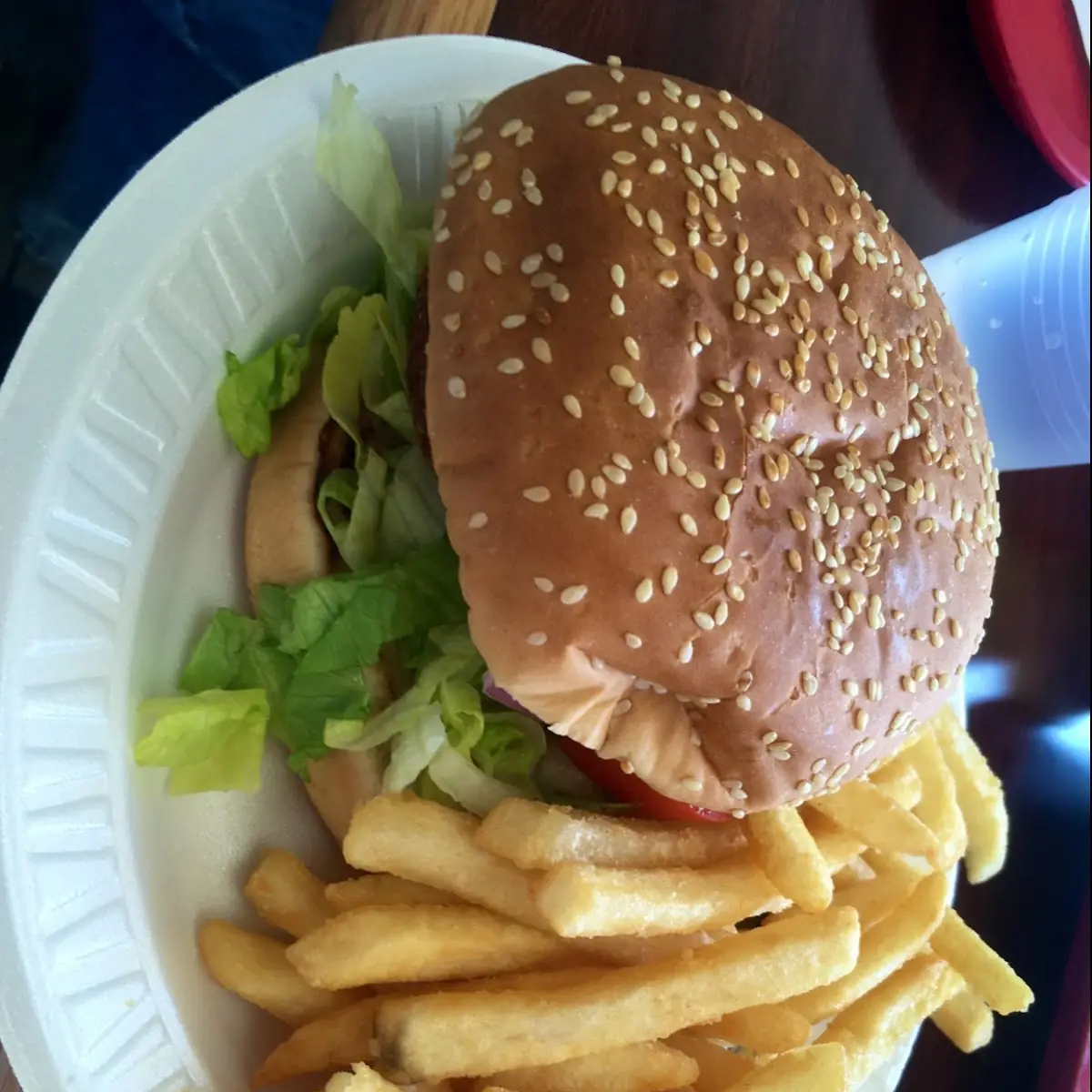 Crispy Chicken Burger