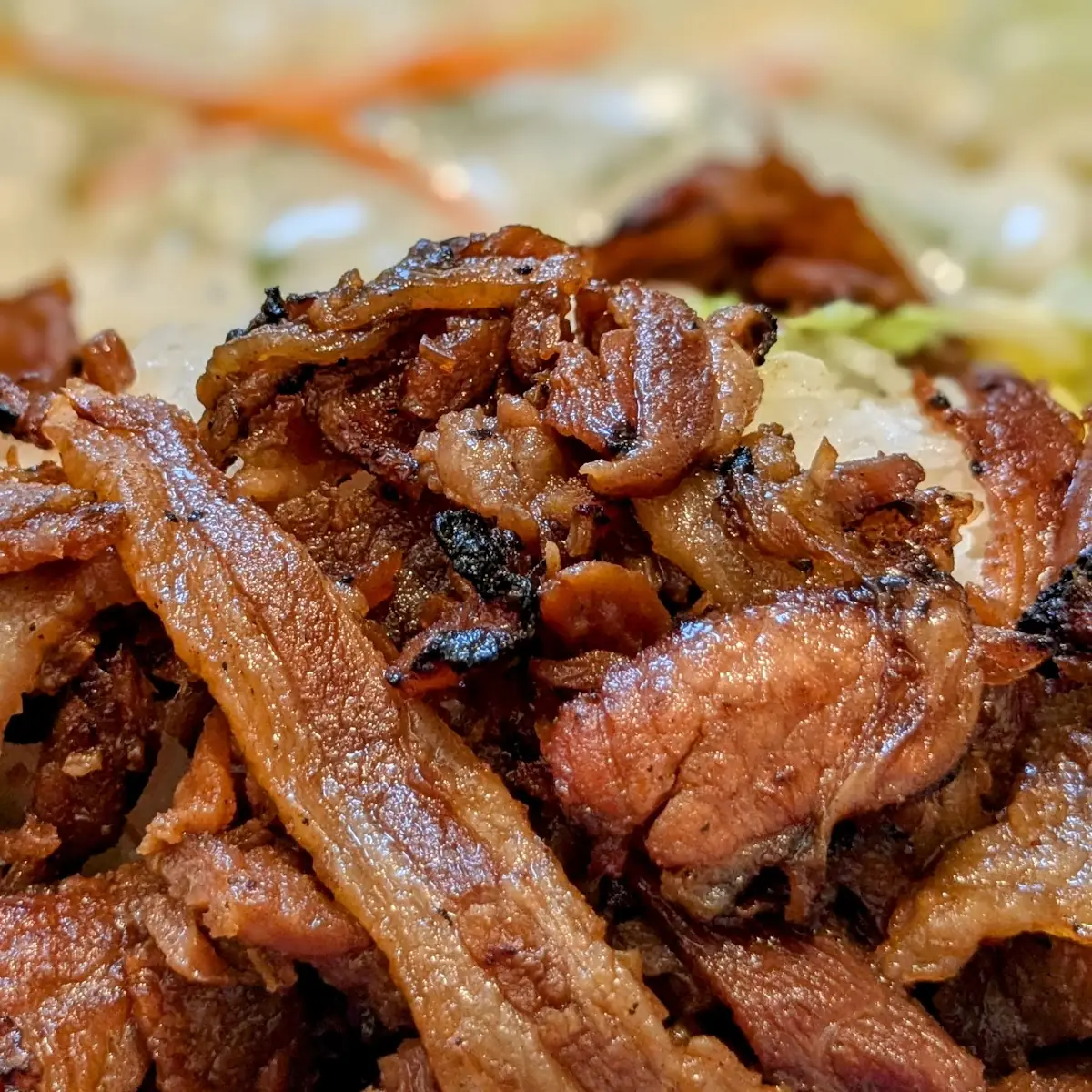 Pork & Beef Teriyaki