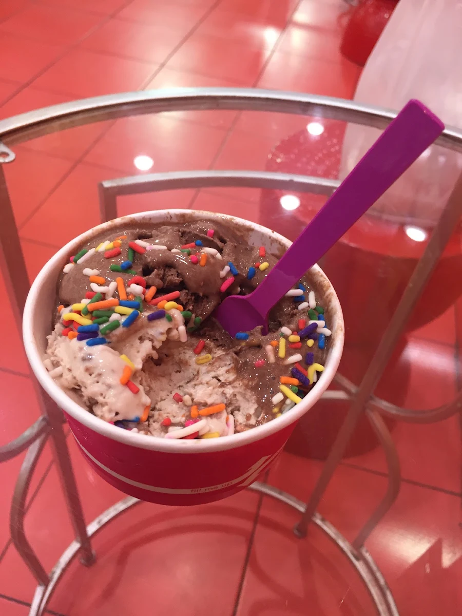 Chocolate Ice Cream