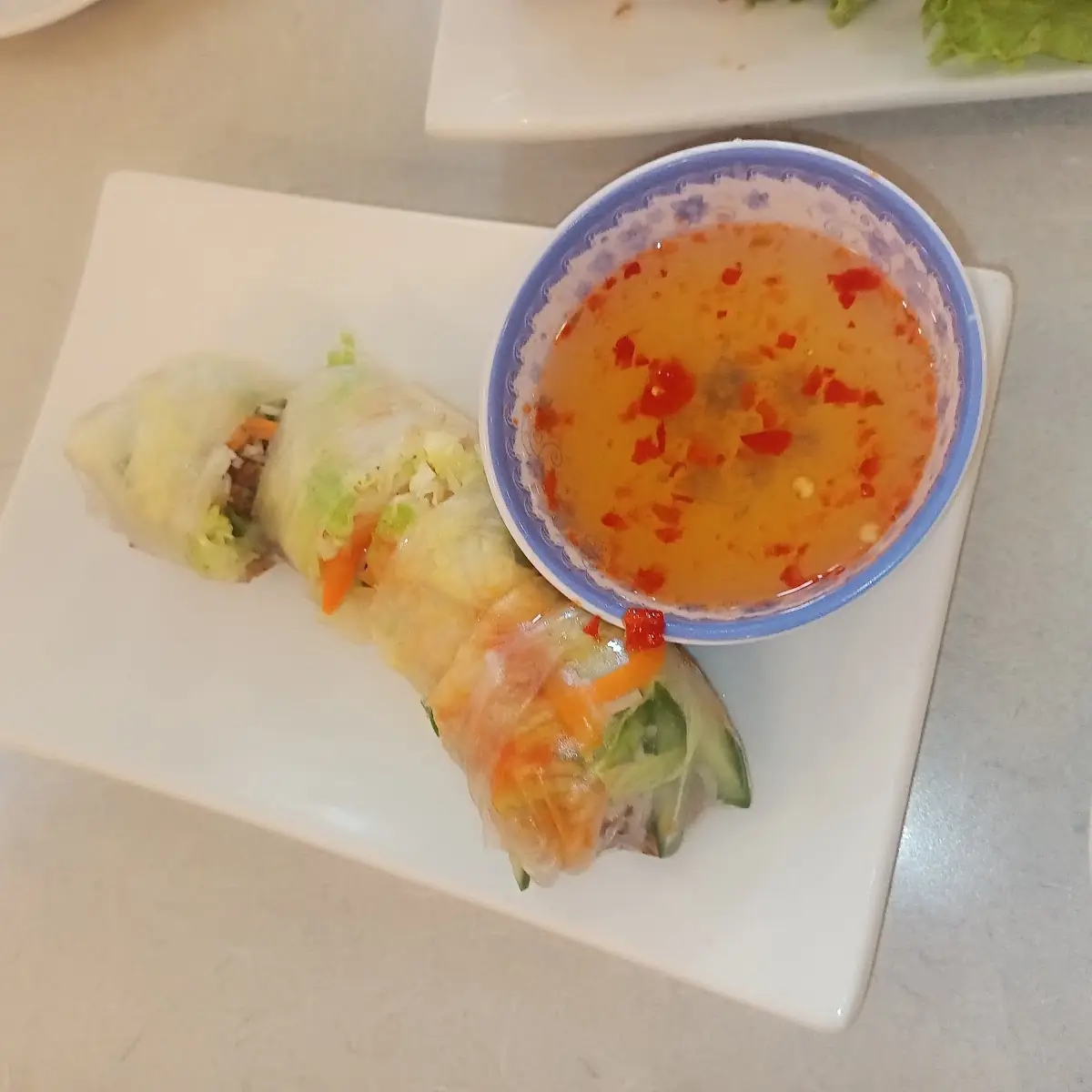 Vietnamese Spring Roll