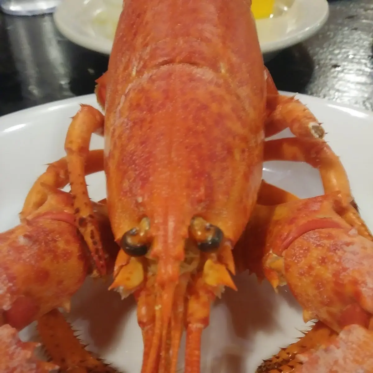 All You Can Eat Lobster