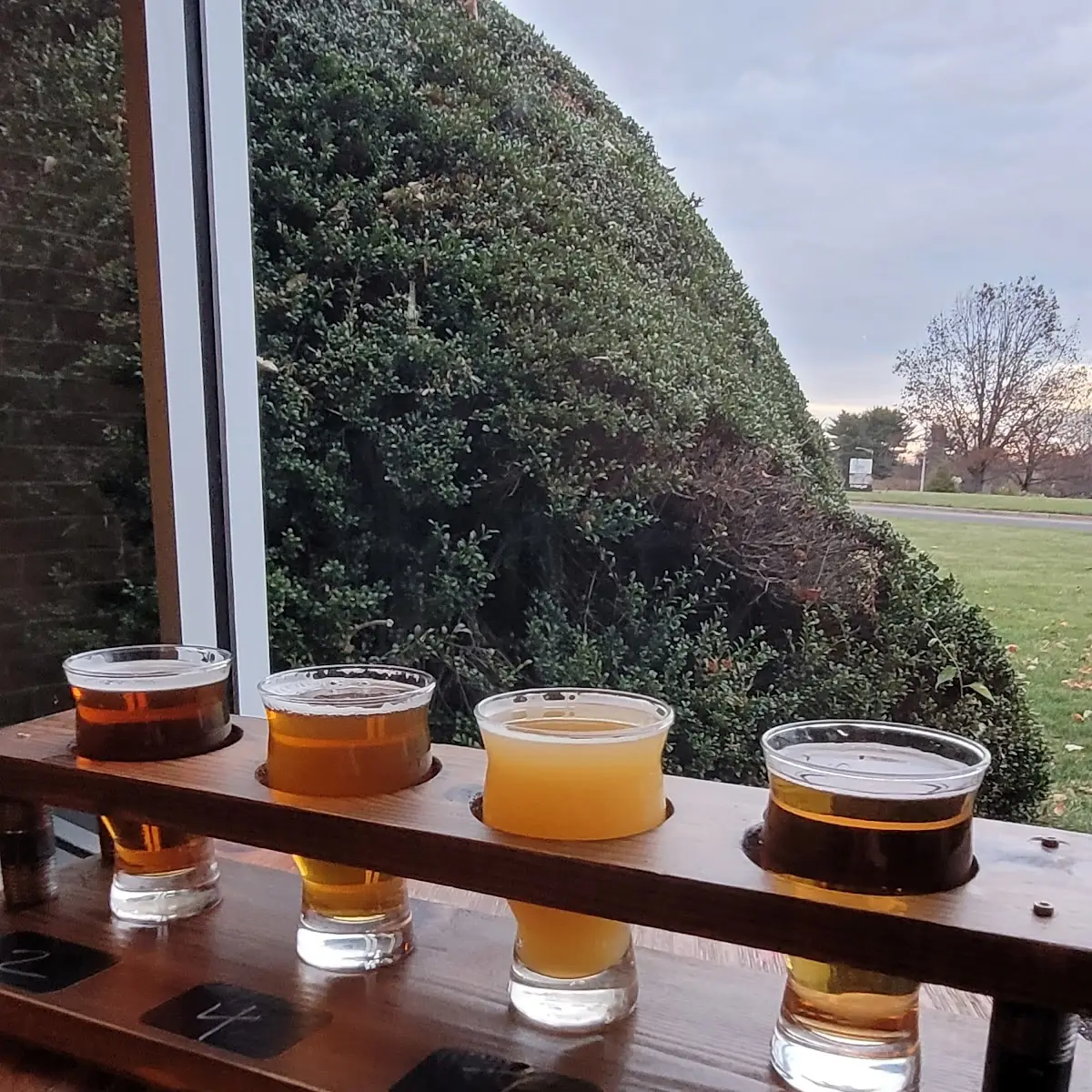 Beer Flight