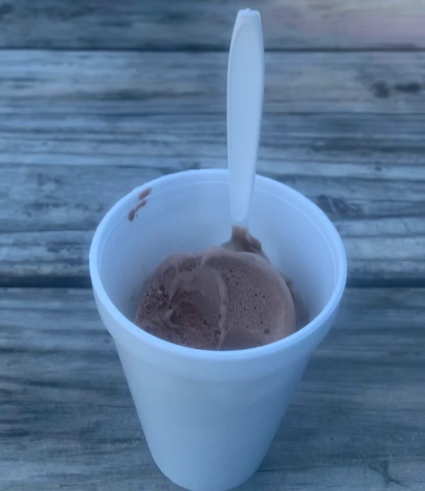 Chocolate Ice Cream