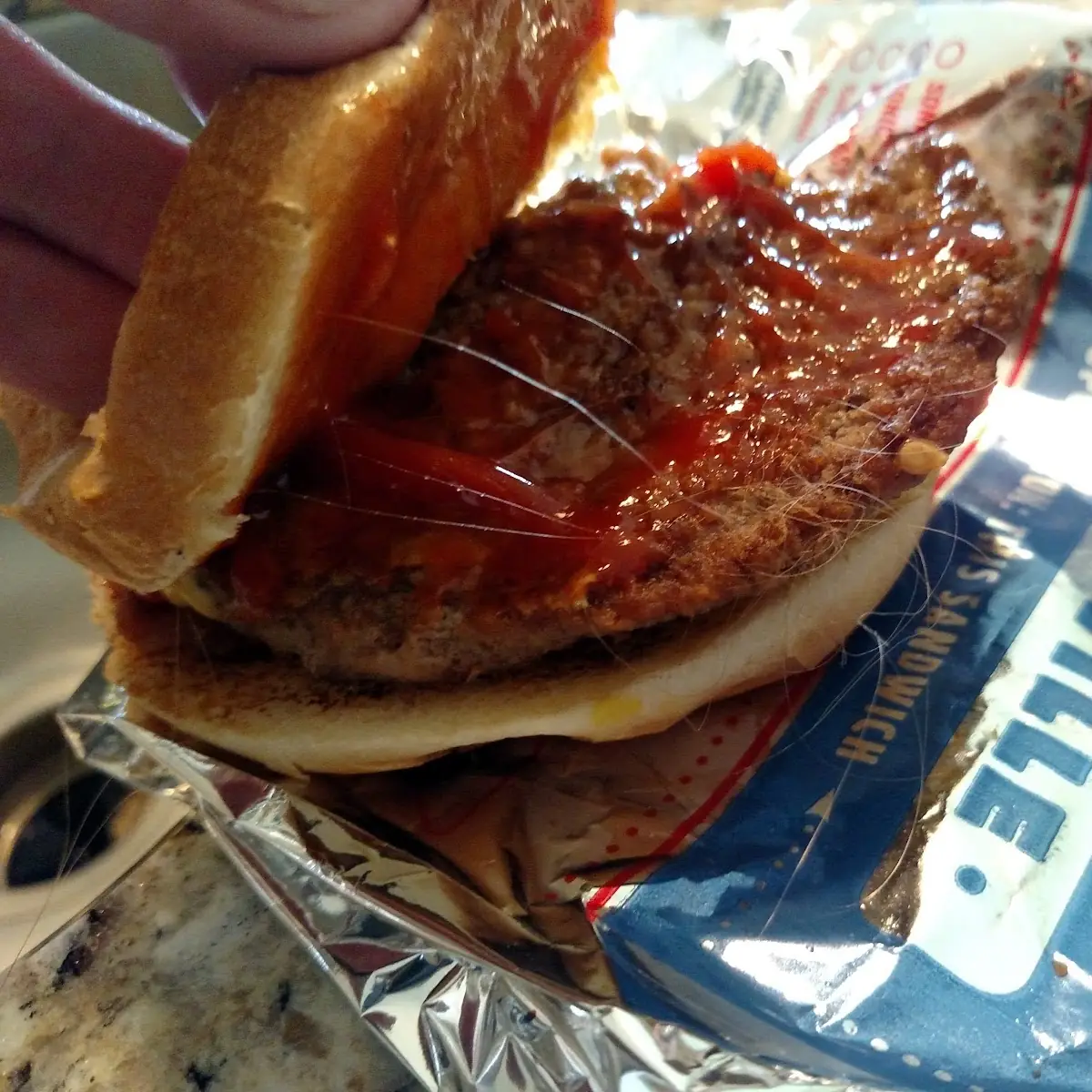 Burger with Hair in It