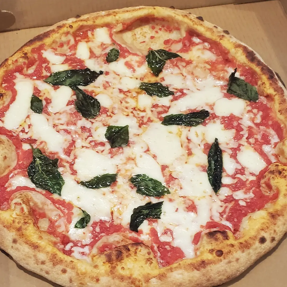 Large Margherita Pizza