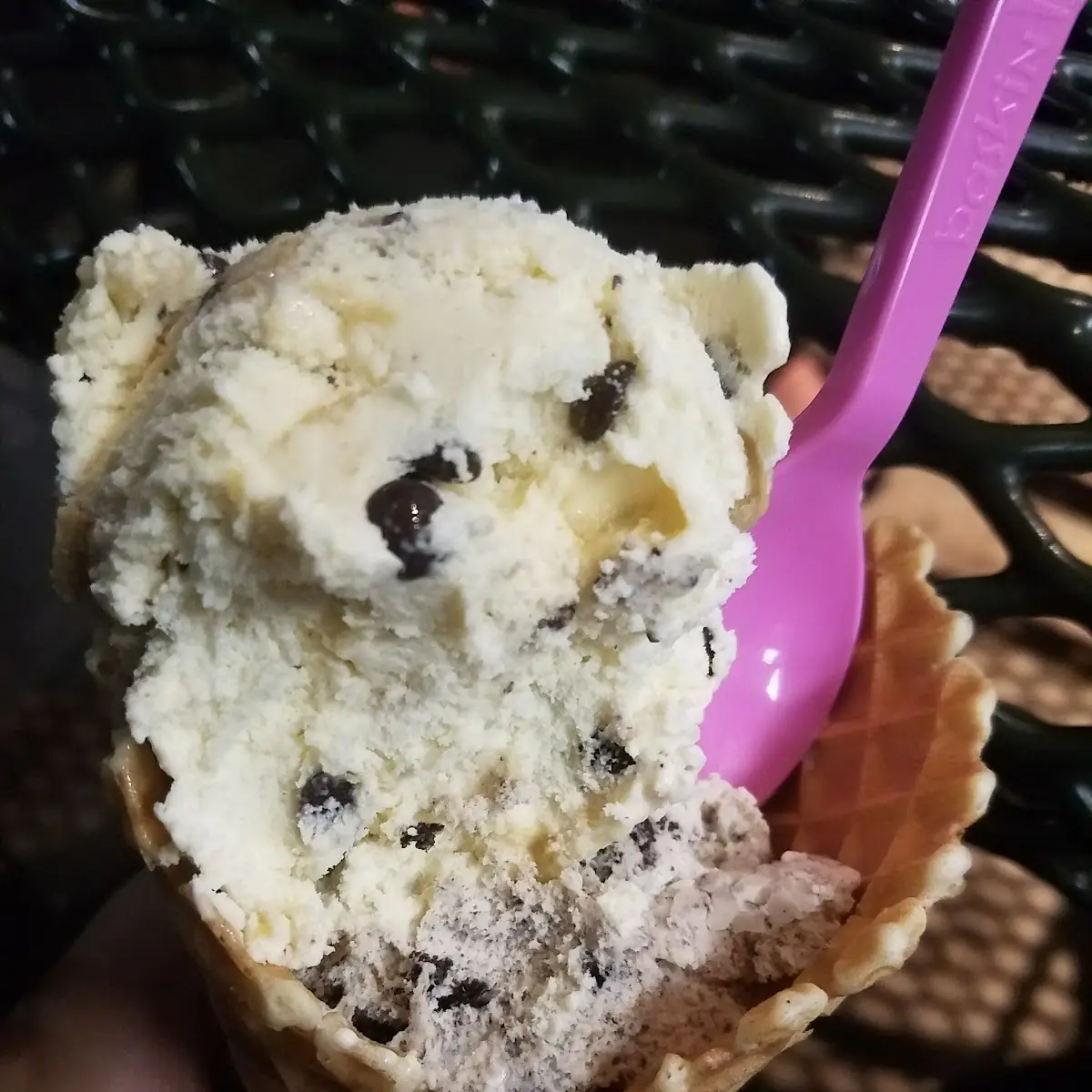 Chocolate Chip